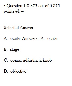 Lab Exam 1